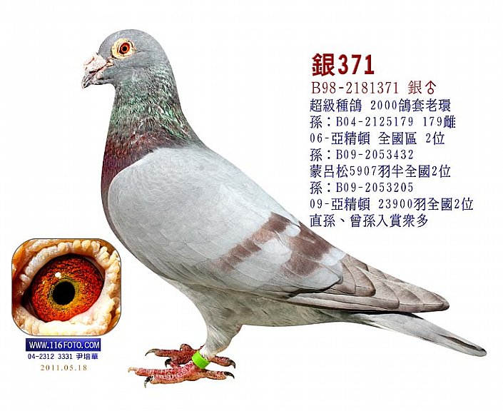 杰夫.凡温克 jef 2011.07.01 ~ 07.05