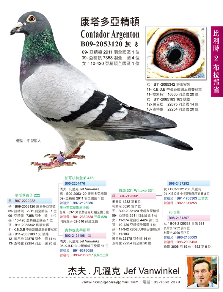 凡温克1 — 116赛鸽网
