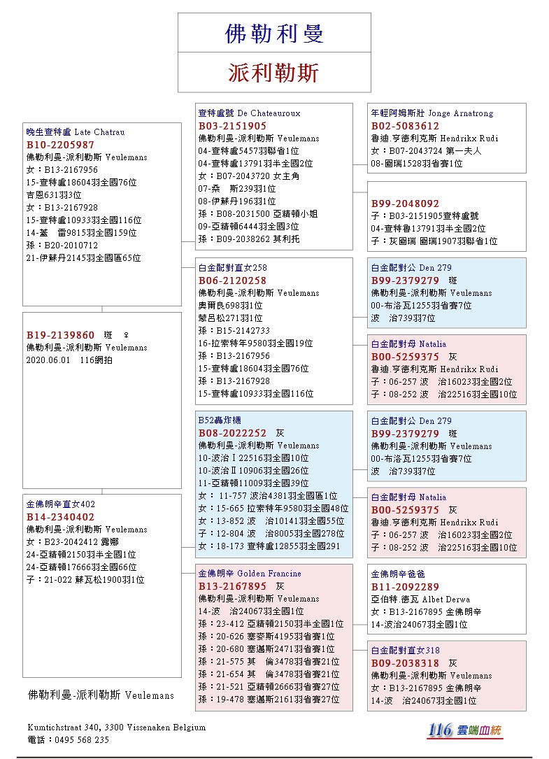 116賽鴿網